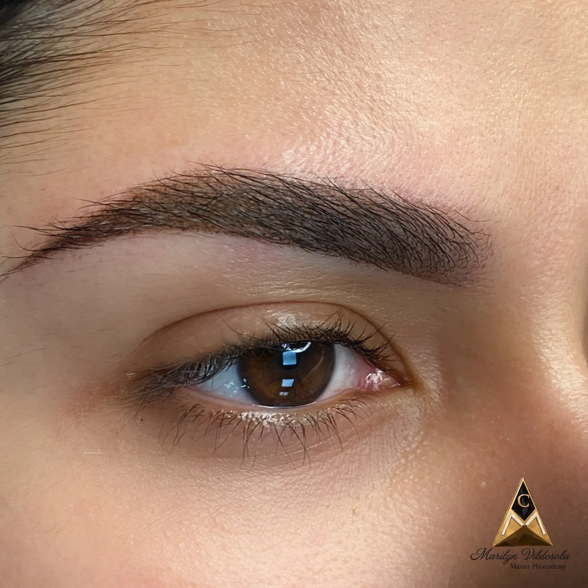 Ampliar fotografía Detalle de powder brows en Miami, ceja sombreada sobre ojo marrón, por Marilyn Vildosola