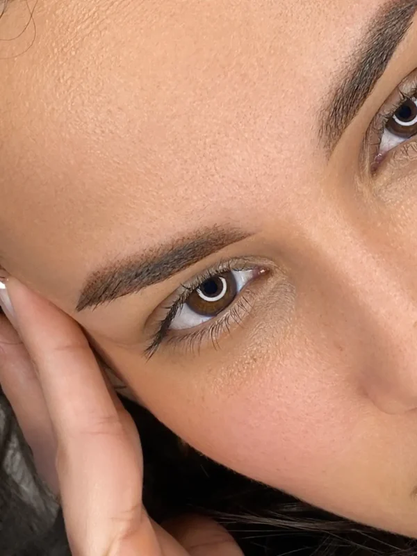 Cejas 5 copia